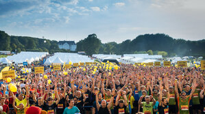 dhl_grid_2 (1).jpg