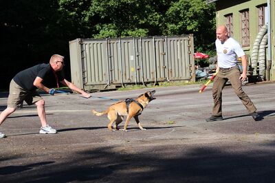 15179090_10210997089426764_3530788405851671319_n (1).jpg